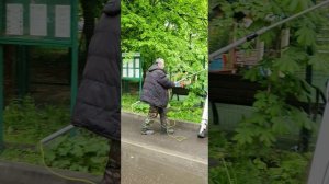 ЧЕРНЫЙ ВОРОН.