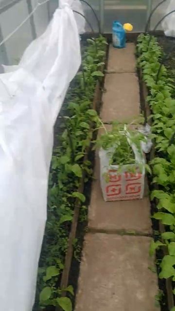 холодный май смотреть онлайн