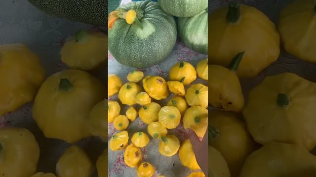 Самое время выбрать кабачки!Эти я повторю в этом сезон смотреть онлайн