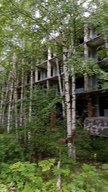 Заброшенный санаторий в глухом лесу. #леснойбродяга # смотреть онлайн