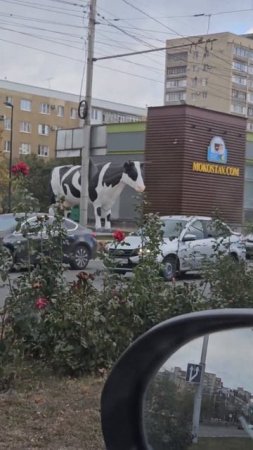 8 октября 2024 г.