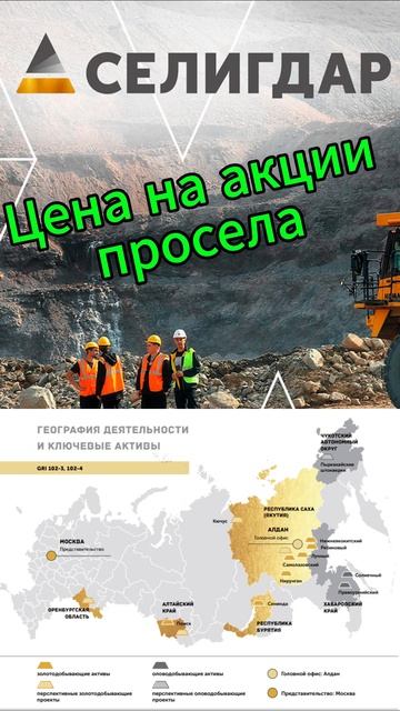 Инвестиции / Селигдар / Акции