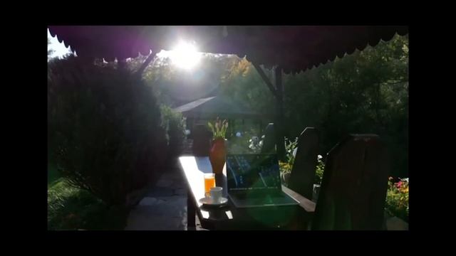 "Аз съм неговия Къс Д'Амато, Тодоров е уникален боец и ч смотреть онлайн