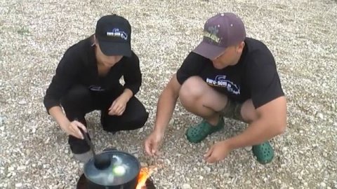 Sexy Waller, silure, catfish, siluro, сом / euro-som.de