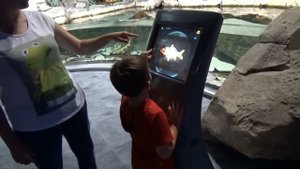 Мистер Макс • Mister Max - ВЛОГ Стамбул катаемся на санках в снежном парке