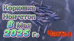 КОРЮШКА. НОН-СТОП. МАЙСКАЯ КОРЮШКА. ЛОВЛЯ КОРЮШКИ. ЧАСТЬ 2.