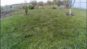 Покос и уборка травы.