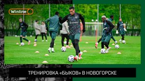Тренировка «быков» в Новогорске