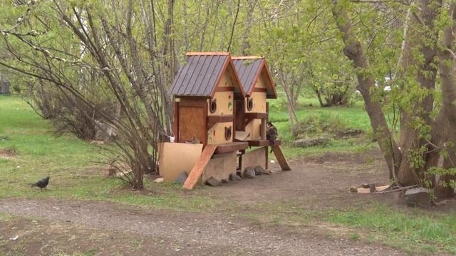 Домики для кошек