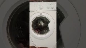 стирка белья на Индезит 15 минут