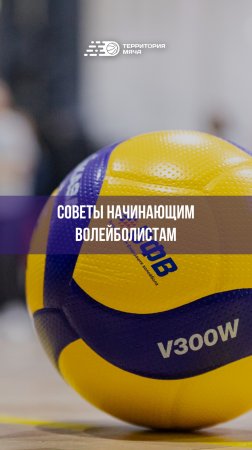 Советы начинающим волейболистам: