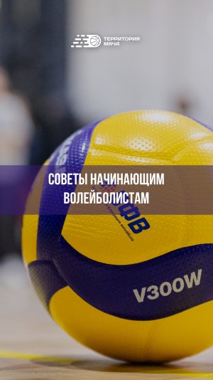 Советы начинающим волейболистам: