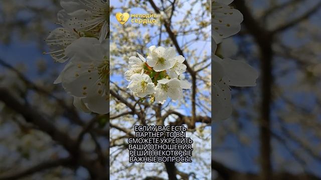 Козерог Апрель 2025 года  #гороскоп