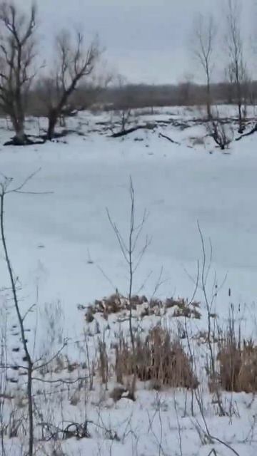 Февраль 14. Рыбалка на жерлицы. смотреть онлайн