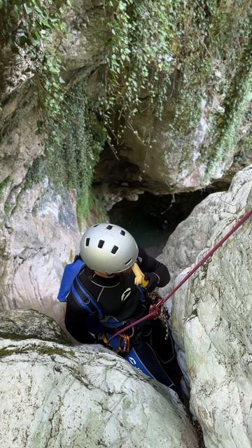 Жуй кокосы, ешь бананы чунгачанга😂 смотреть онлайн
