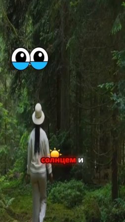 Человек арбуз моя новая жизнь