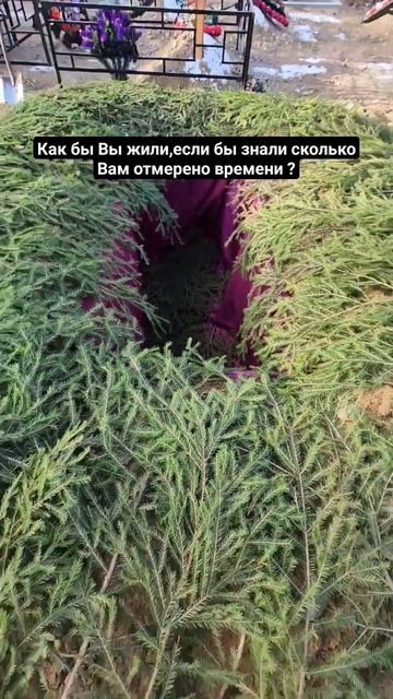 #мотиватор #любить #жизнь #время #мотивация смотреть онлайн