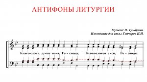 АНТИФОНЫ✨П.ТУМАРКИНА изл.для смеш. хора Гончаров - Теноровая партия