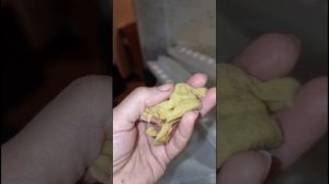 сушильная машина портит белье