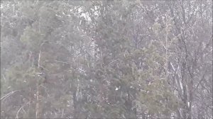 С Новым Годом!