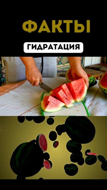 Арбуз: мифы и факты. Что творит арбуз с организмом? @shipas смотреть онлайн
