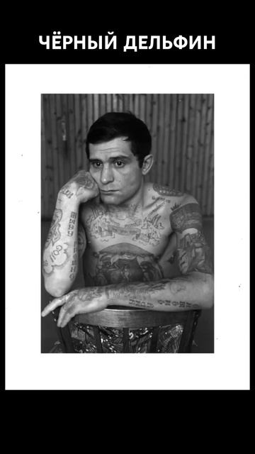 Фонтанчик с черным дельфином #рок смотреть онлайн