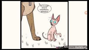 3 серия пикси и брута