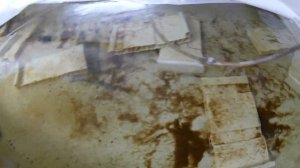 Разведение австралийских раков. НАЧАЛА ПУТИ - МАЛЕК.