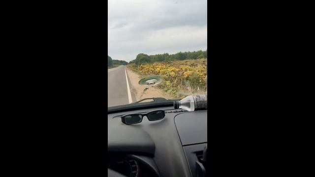 ЭКСПЕРИМЕНТ - самолёт против борщевика смотреть онлайн