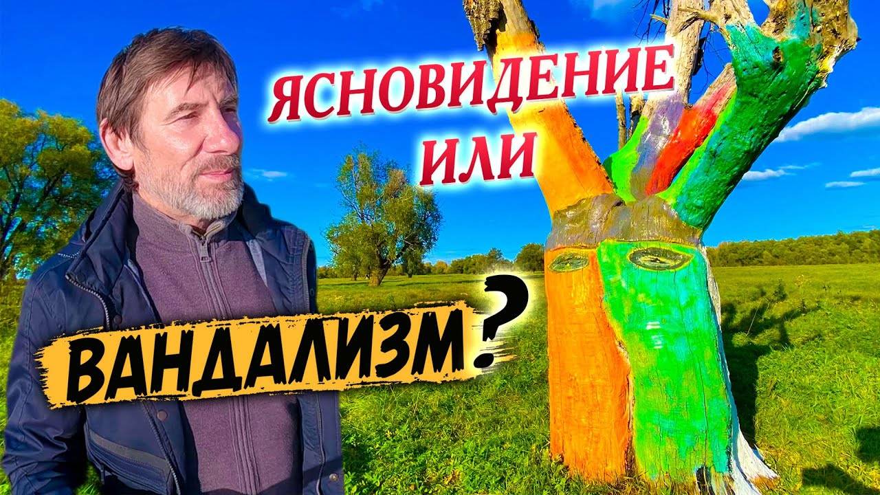 388. Туристы бесчинствуют. Агрессивный бык. Бардак на Месте Силы. Деревня Окунево Омская область.