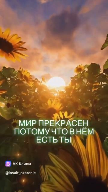 Мир прекрасен ,потому что в нем есть ТЫ ☀️ смотреть онлайн