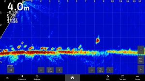 Как ведёт себя судак зимой (Сенеж)