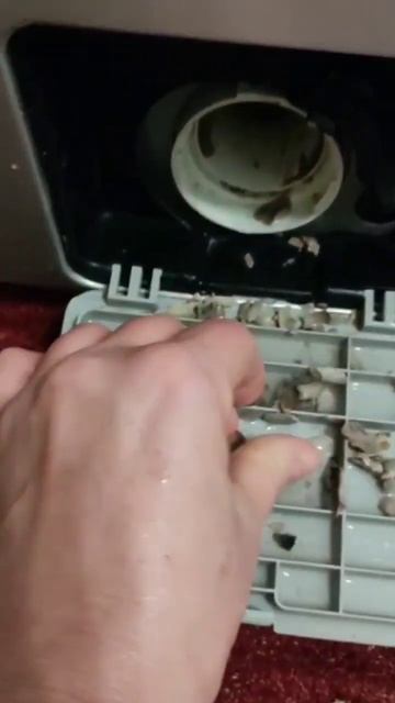 ШОК!!! #биопорошок #гринли #фаберлик https://wa.me/79886498010 смотреть онлайн