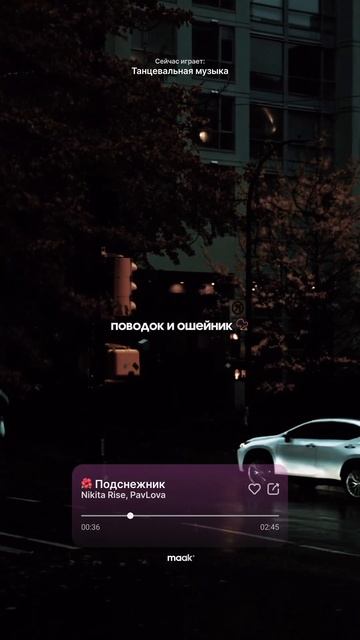 ❤️ Nikita Rise, PavLova - Подснежник #maak #nikitarise #pavlova #подснежник смотреть онлайн