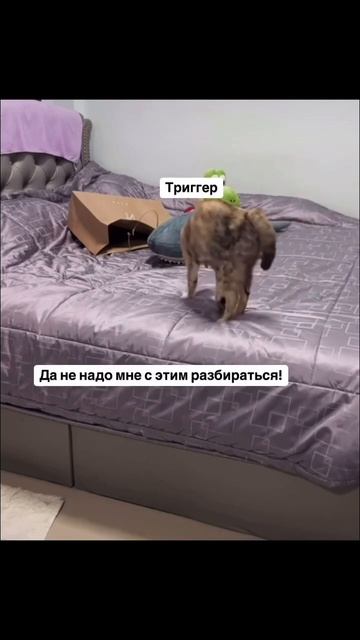 Реакция-просто игра смотреть онлайн