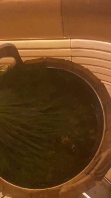 #sauna #баня #традиции #life #steam #веник #парение #здоровье #spa смотреть онлайн
