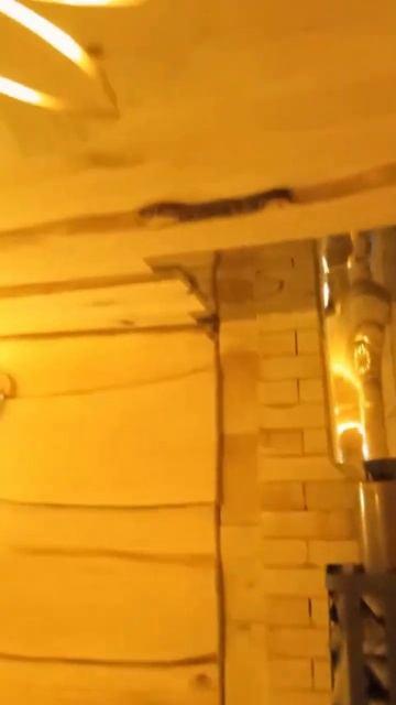 как правильно и красиво оформить сауну смотреть онлайн