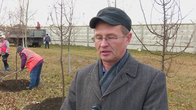 Новая аллея смотреть онлайн