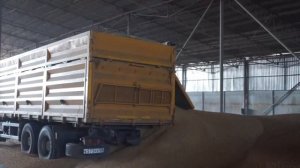 Краснодар. Мобильная зерносушилка АТМ-34.Отзыв КФХ Буб?
