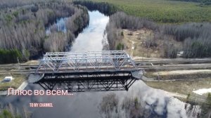 Весна в лесу