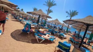 Египет 🇪🇬 ДЕНЬГИ НЕ ХОТЯТ БРАТЬ  Island View Resort 5* Первая ?