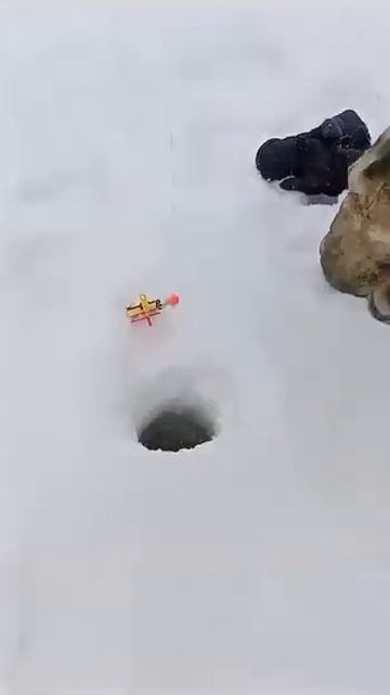 Зимняя рыбалка на севере Карелии смотреть онлайн