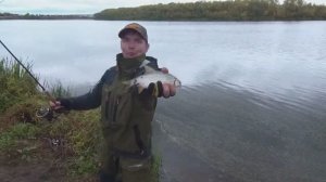 РЫБАЛКА НА РЕКЕ ОСЕНЬЮ.