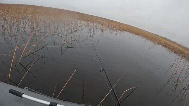 На Ладогу за щукой поздней осенью. Ноябрь 2024. смотреть онлайн