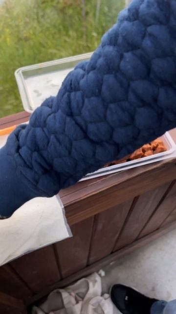 #веган #ужин смотреть онлайн