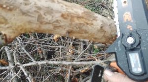 аккумуляторная мини пила ТехАс, тестируем пилу...