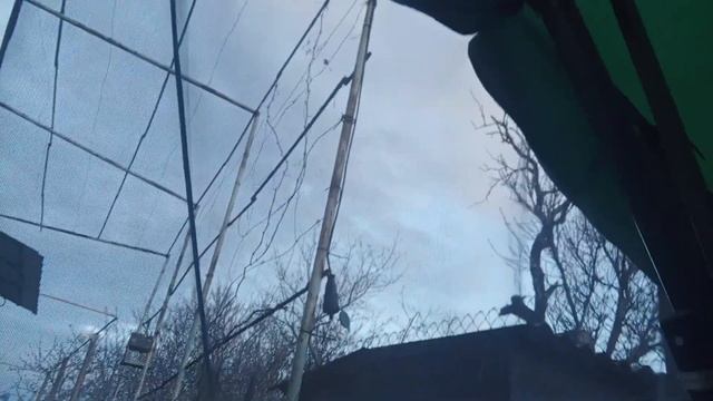 Влог прогулка на улице смотреть онлайн