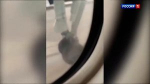 Часы и начало программы Вести (Россия 1, 05.01.2020)