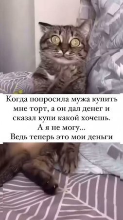 Когда попросила мужа купить мне оорт