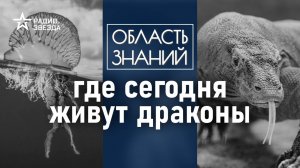 Как выглядят драконы в реальной жизни? Лекция биолога Натальи Носовой